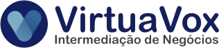VirtuaVox
