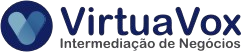VirtuaVox